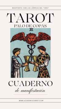 Cuaderno de manifestación Palo de Copas