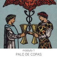 Palo de copas